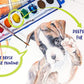 Color Swell Watercolor Bulk Pack (10 Packs, 8 Colors/Pack) Color Swell